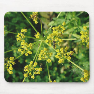 Ant, Web, and Yellow Mustard Flower  Mouse Mat