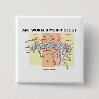Ant Worker Morphology 15 Cm Square Badge