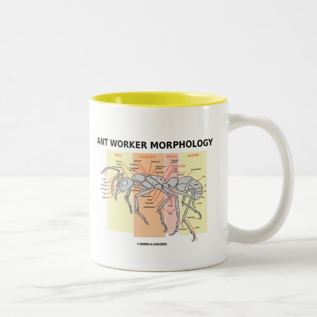 Ant Worker Morphology Two-Tone Coffee Mug (Right)