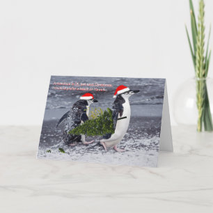 Antarctic Beach Christmas Card