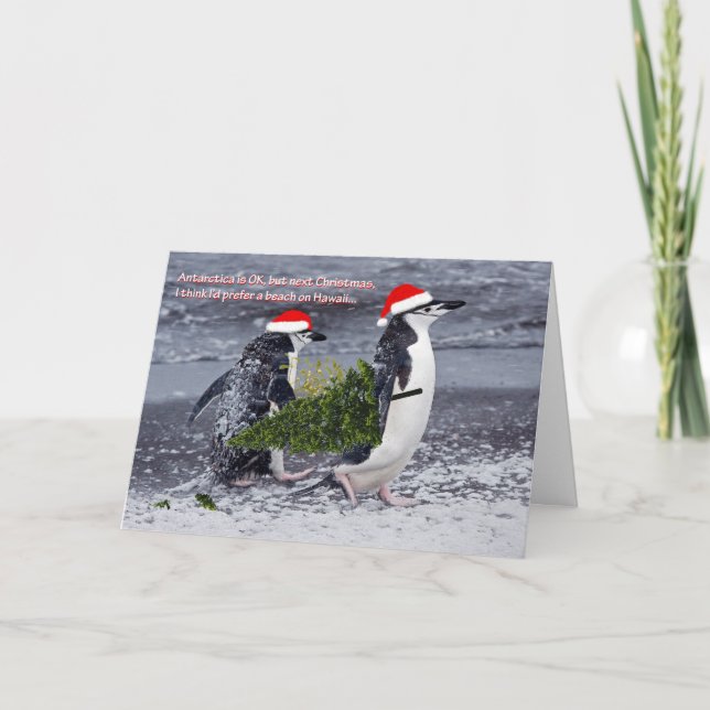 Antarctic Beach Christmas Card (Front)