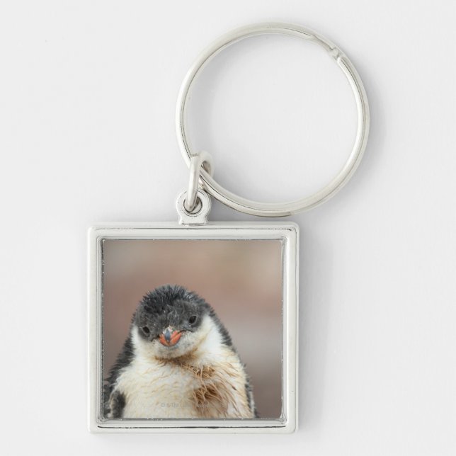 Antarctic Key Ring (Front)