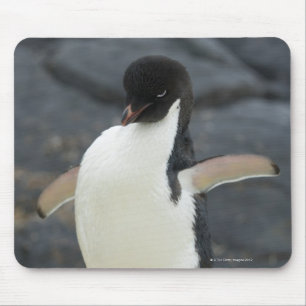 Antarctic Mouse Mat