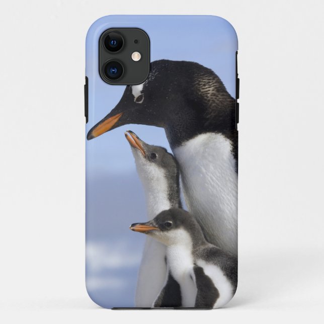 Antarctic Peninsula, Neko Harbour, Gentoo Case-Mate iPhone Case (Back)