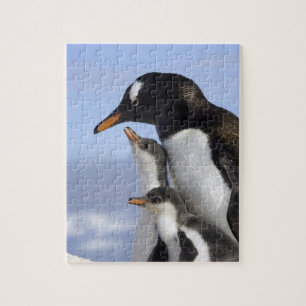 Antarctic Peninsula, Neko Harbour, Gentoo Jigsaw Puzzle