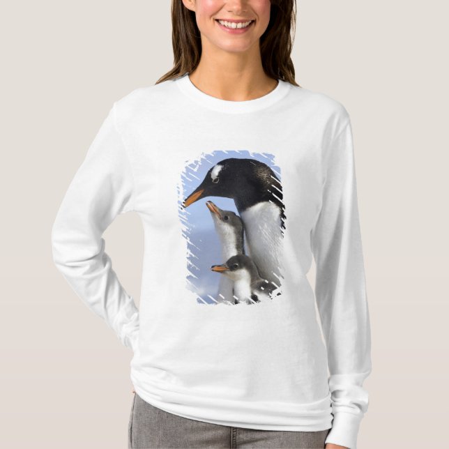 Antarctic Peninsula, Neko Harbour, Gentoo T-Shirt (Front)