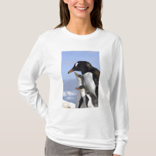 Antarctic Peninsula, Neko Harbour, Gentoo T-Shirt