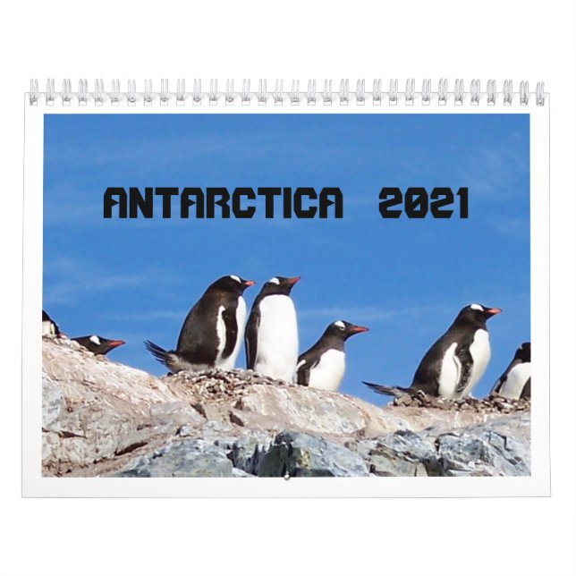 Antarctica - 2020 Calendar (Cover)