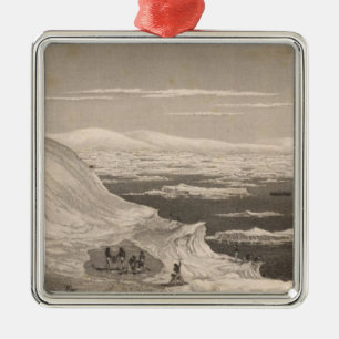 Antarctica 2 metal tree decoration