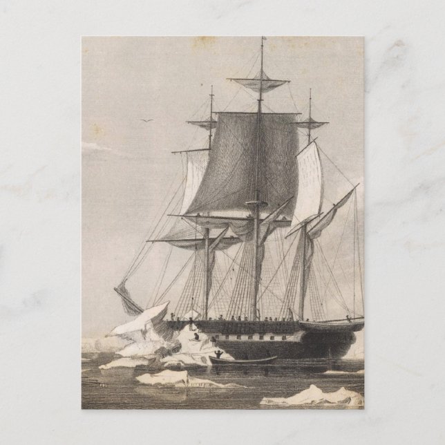 Antarctica 2 postcard (Front)