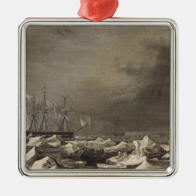 Antarctica 3 metal tree decoration (Front)