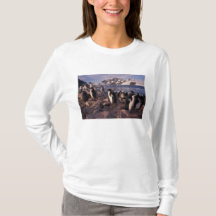 Antarctica, Adelie penguin chicks T-Shirt