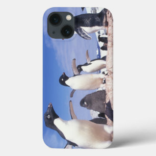 Antarctica, Adelie Penguin Pygoscelis iPhone 13 Case