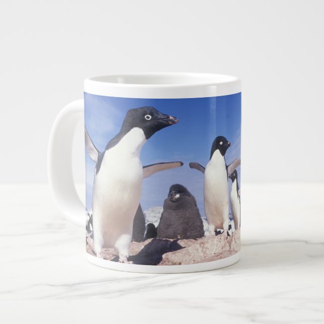 Antarctica, Adelie Penguin Pygoscelis Large Coffee Mug (Front Left)