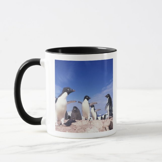 Antarctica, Adelie Penguin Pygoscelis Mug (Left)