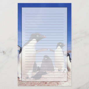Antarctica, Adelie Penguin Pygoscelis Stationery
