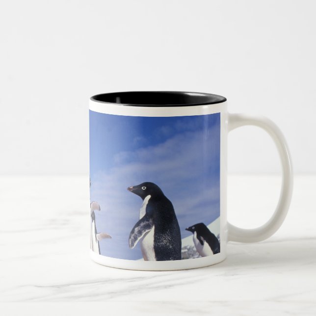 Antarctica, Adelie Penguin Pygoscelis Two-Tone Coffee Mug (Right)