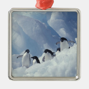 Antarctica. Adelie penguins Metal Tree Decoration