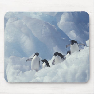 Antarctica. Adelie penguins Mouse Mat