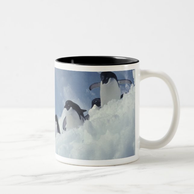Antarctica. Adelie penguins Two-Tone Coffee Mug (Right)