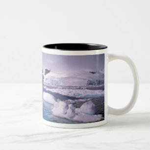Antarctica. Antarctic icescapes 2 Two-Tone Coffee Mug