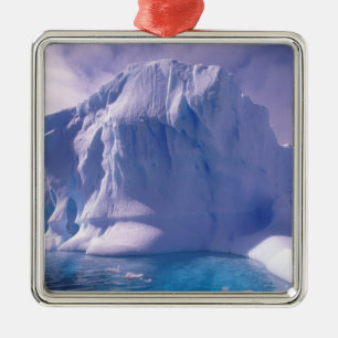 Antarctica. Antarctic icescapes Metal Tree Decoration