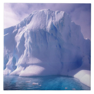 Antarctica. Antarctic icescapes Tile