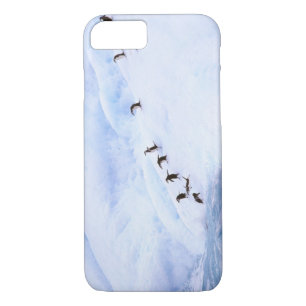 Antarctica, Antarctic Peninsula. Chinstrap iPhone 8/7 Case