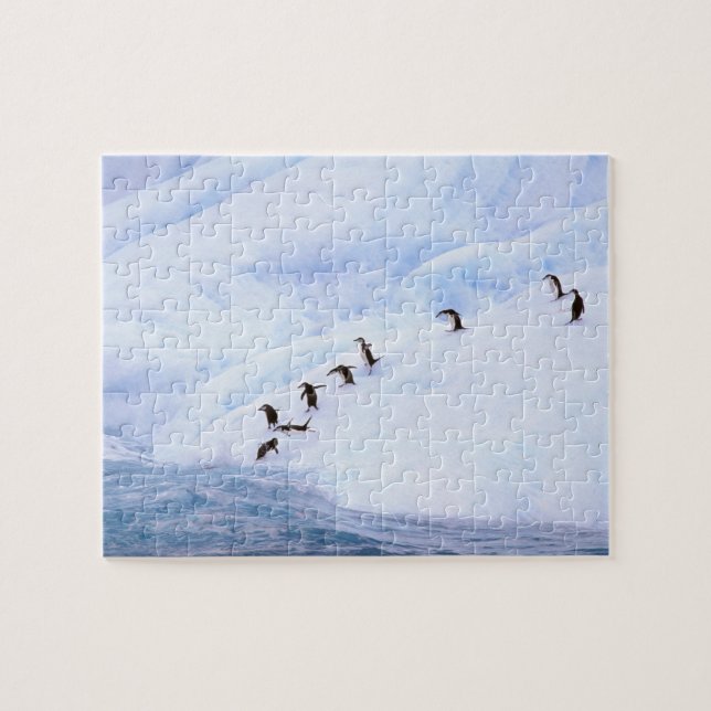Antarctica, Antarctic Peninsula. Chinstrap Jigsaw Puzzle (Horizontal)