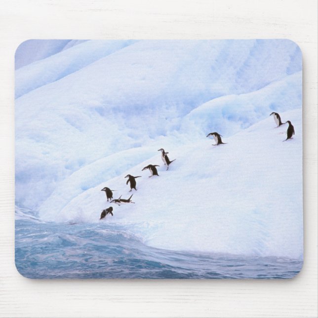 Antarctica, Antarctic Peninsula. Chinstrap Mouse Mat (Front)