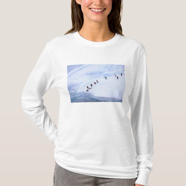Antarctica, Antarctic Peninsula. Chinstrap T-Shirt (Front)