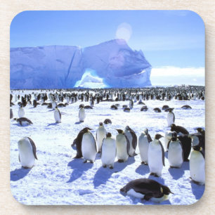 Antarctica, Antarctic Peninsula, Weddell Sea, 5 Coaster