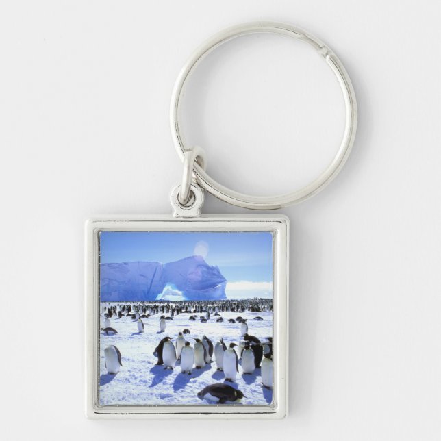 Antarctica, Antarctic Peninsula, Weddell Sea, 5 Key Ring (Front)