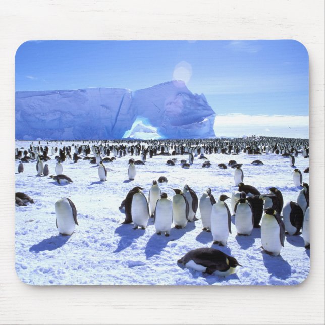 Antarctica, Antarctic Peninsula, Weddell Sea, 5 Mouse Mat (Front)