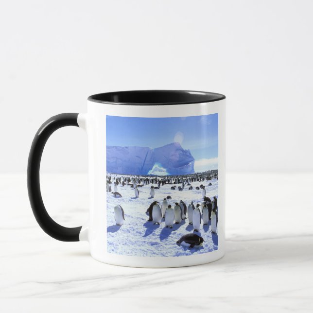 Antarctica, Antarctic Peninsula, Weddell Sea, 5 Mug (Left)