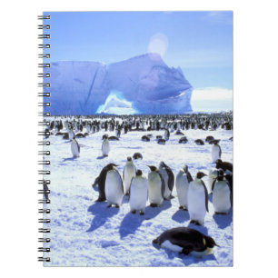 Antarctica, Antarctic Peninsula, Weddell Sea, 5 Notebook