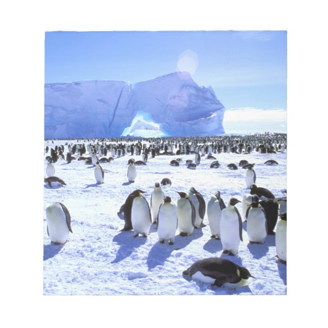 Antarctica, Antarctic Peninsula, Weddell Sea, 5 Notepad (Front)