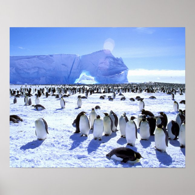 Antarctica, Antarctic Peninsula, Weddell Sea, 5 Poster (Front)
