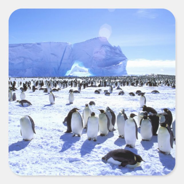 Antarctica, Antarctic Peninsula, Weddell Sea, 5 Square Sticker (Front)