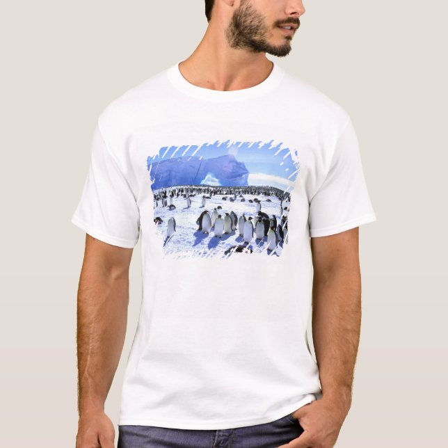 Antarctica, Antarctic Peninsula, Weddell Sea, 5 T-Shirt (Front)