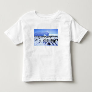 Antarctica, Antarctic Peninsula, Weddell Sea, 5 Toddler T-Shirt