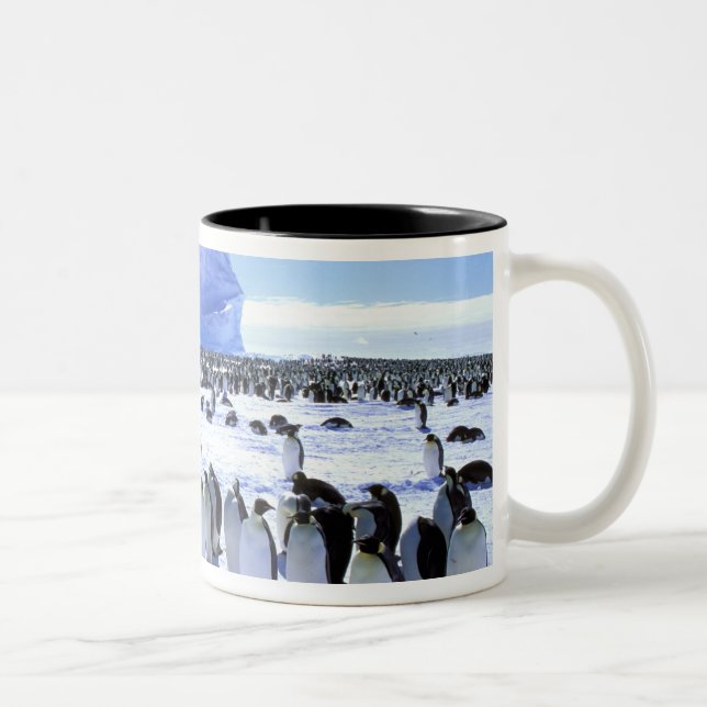 Antarctica, Antarctic Peninsula, Weddell Sea, 5 Two-Tone Coffee Mug (Right)