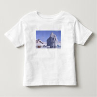 Antarctica, Antarctic Peninsula. Zodiak and