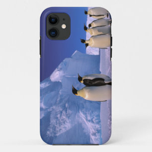 Antarctica, Australian Antarctic Territory, 7 iPhone 11 Case