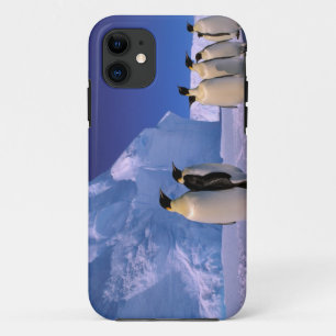 Antarctica, Australian Antarctic Territory, 7 iPhone 11 Case