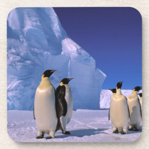 Antarctica, Australian Antarctic Territory, 7 Coaster