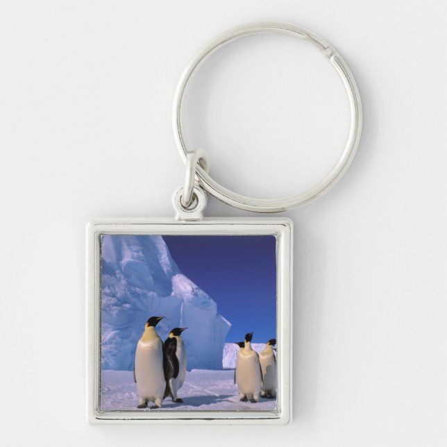Antarctica, Australian Antarctic Territory, 7 Key Ring (Front)