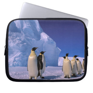 Antarctica, Australian Antarctic Territory, 7 Laptop Sleeve