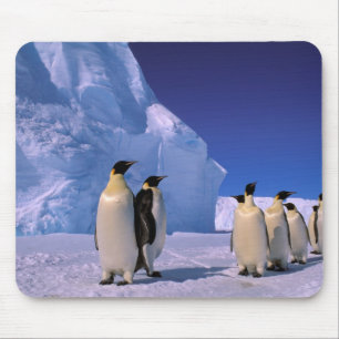 Antarctica, Australian Antarctic Territory, 7 Mouse Mat