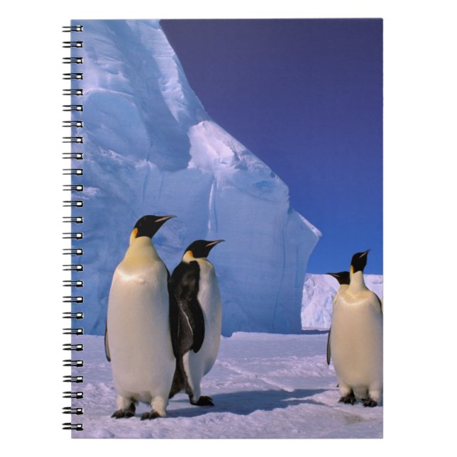 Antarctica, Australian Antarctic Territory, 7 Notebook (Front)